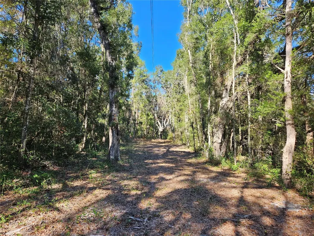 Tbd NE 175th Avenue Williston FL 32696