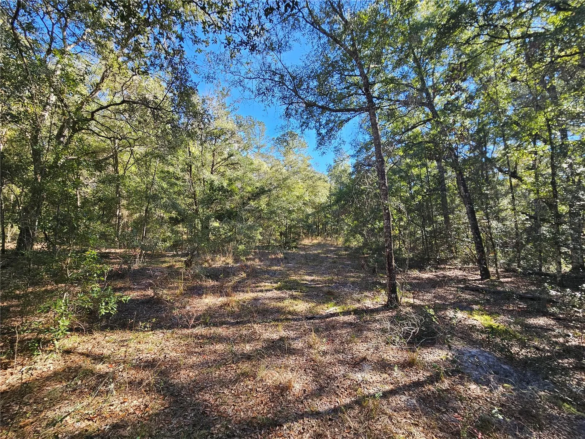 Tbd NE 175th Avenue Williston FL 32696