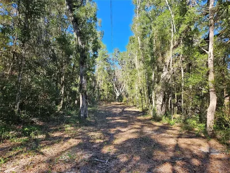 Tbd NE 175th Avenue Williston FL 32696