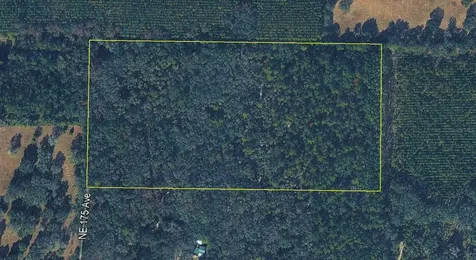 Tbd NE 175th Avenue Williston FL 32696