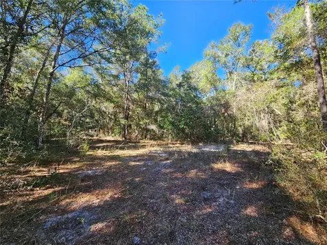 Tbd NE 175th Avenue Williston FL 32696
