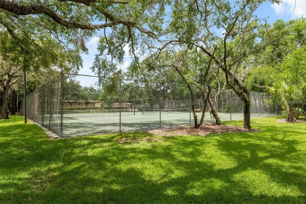11709 Raintree Village Boulevard Temple Terrace FL 33617
