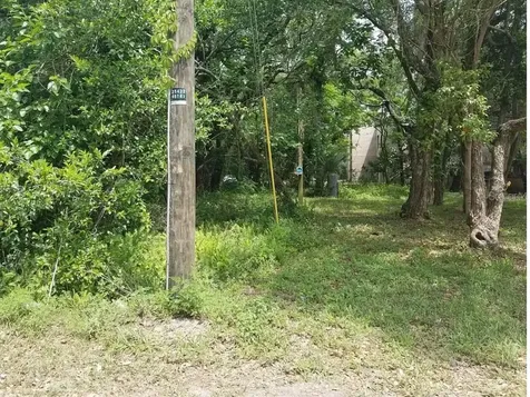 832 E 145th Avenue Tampa FL 33613