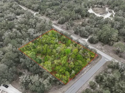 9920 N Pink Moss Point Crystal River FL 34428