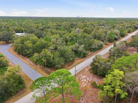 9920 N Pink Moss Point Crystal River FL 34428