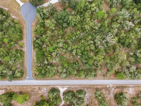 9920 N Pink Moss Point Crystal River FL 34428