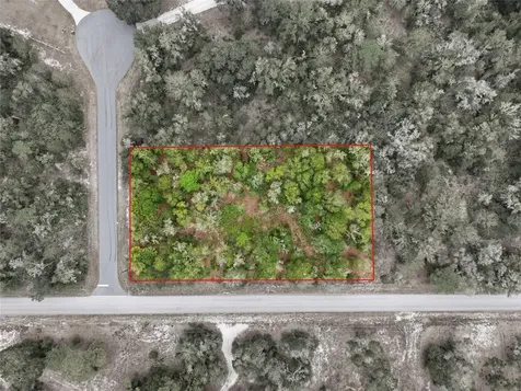 9920 N Pink Moss Point Crystal River FL 34428