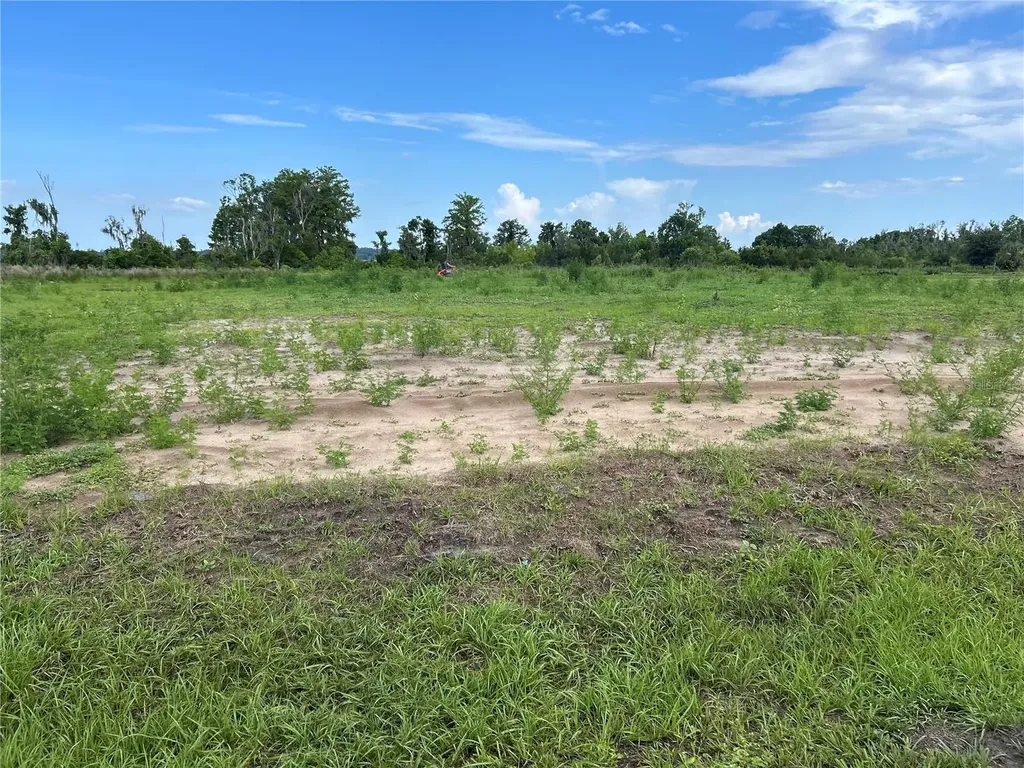 12946 Stillwater Cove Drive Astatula FL 34705