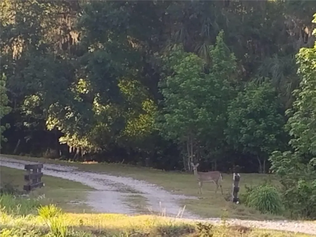 15311 Fishhawk Heights Run Lithia FL 33547