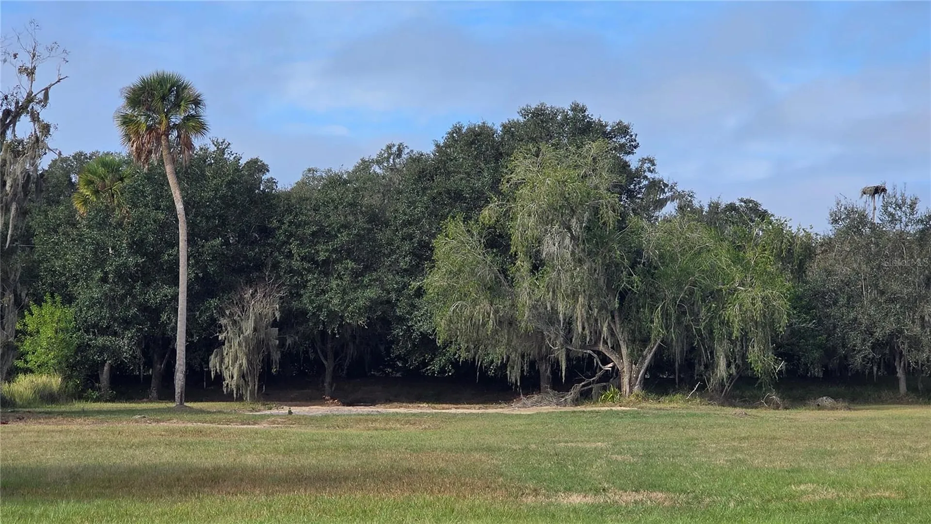 15311 Fishhawk Heights Run Lithia FL 33547