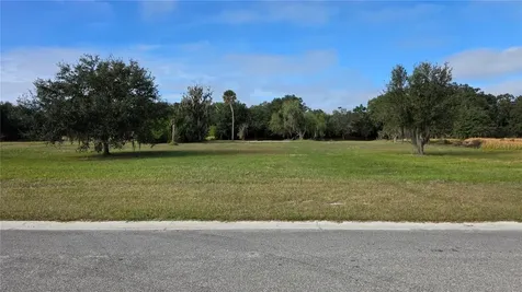 15311 Fishhawk Heights Run Lithia FL 33547