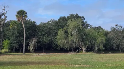 15311 Fishhawk Heights Run Lithia FL 33547