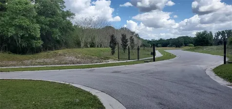 15311 Fishhawk Heights Run Lithia FL 33547