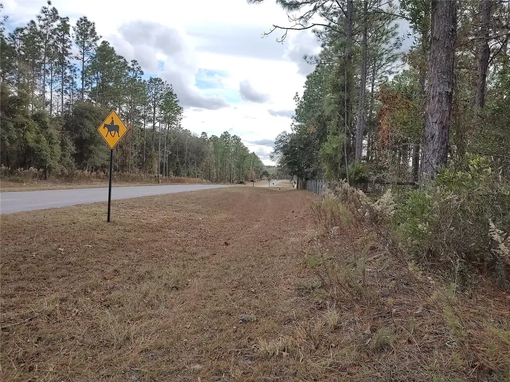 SE 120 Court Morriston FL 32668