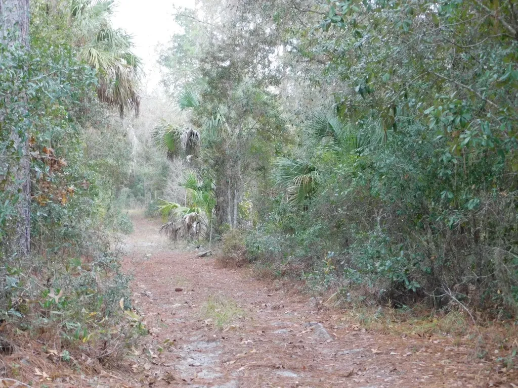 SE 120 Court Morriston FL 32668