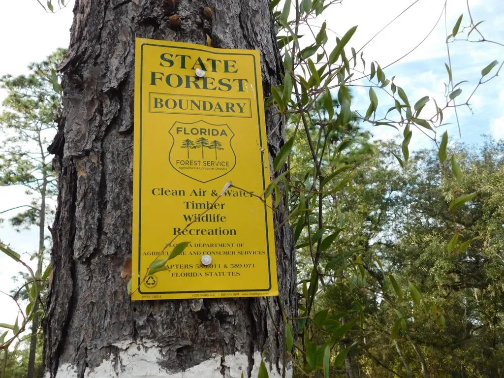 SE 120 Court Morriston FL 32668