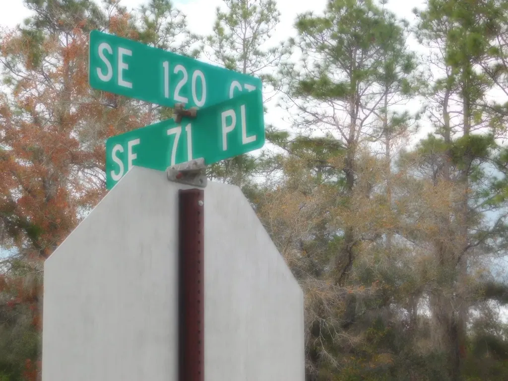SE 120 Court Morriston FL 32668