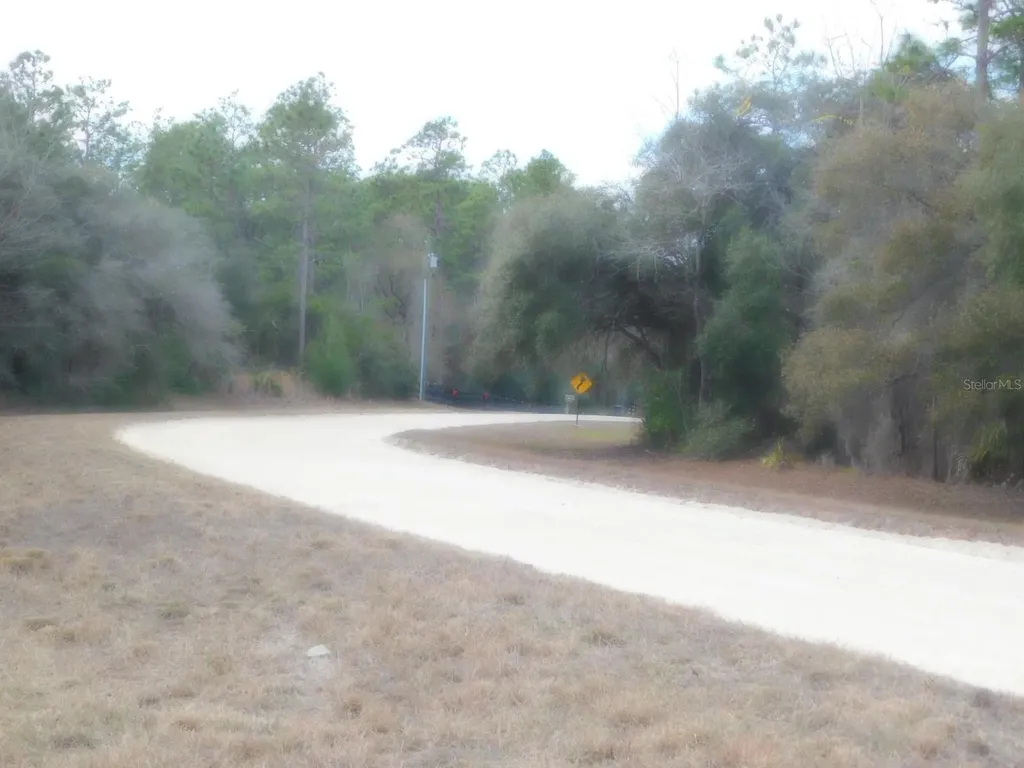 SE 120 Court Morriston FL 32668