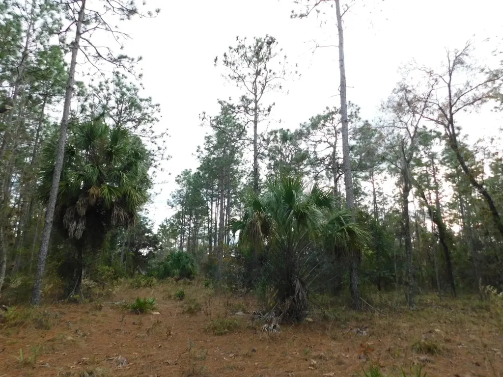 SE 120 Court Morriston FL 32668
