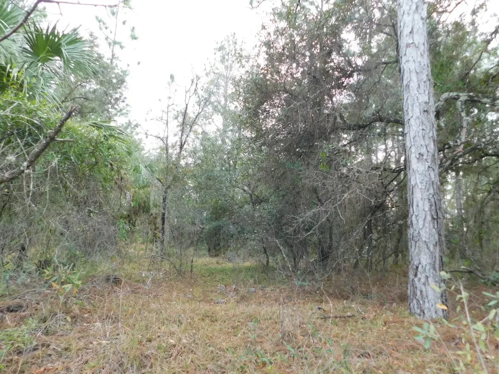 SE 120 Court Morriston FL 32668