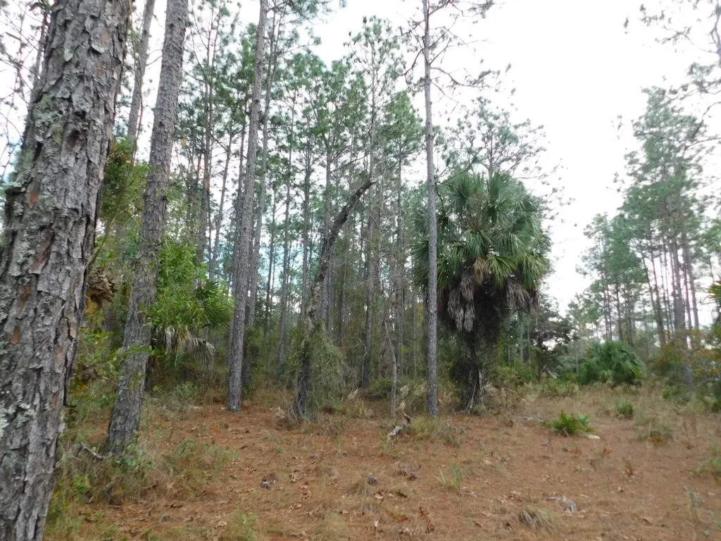 SE 120 Court Morriston FL 32668