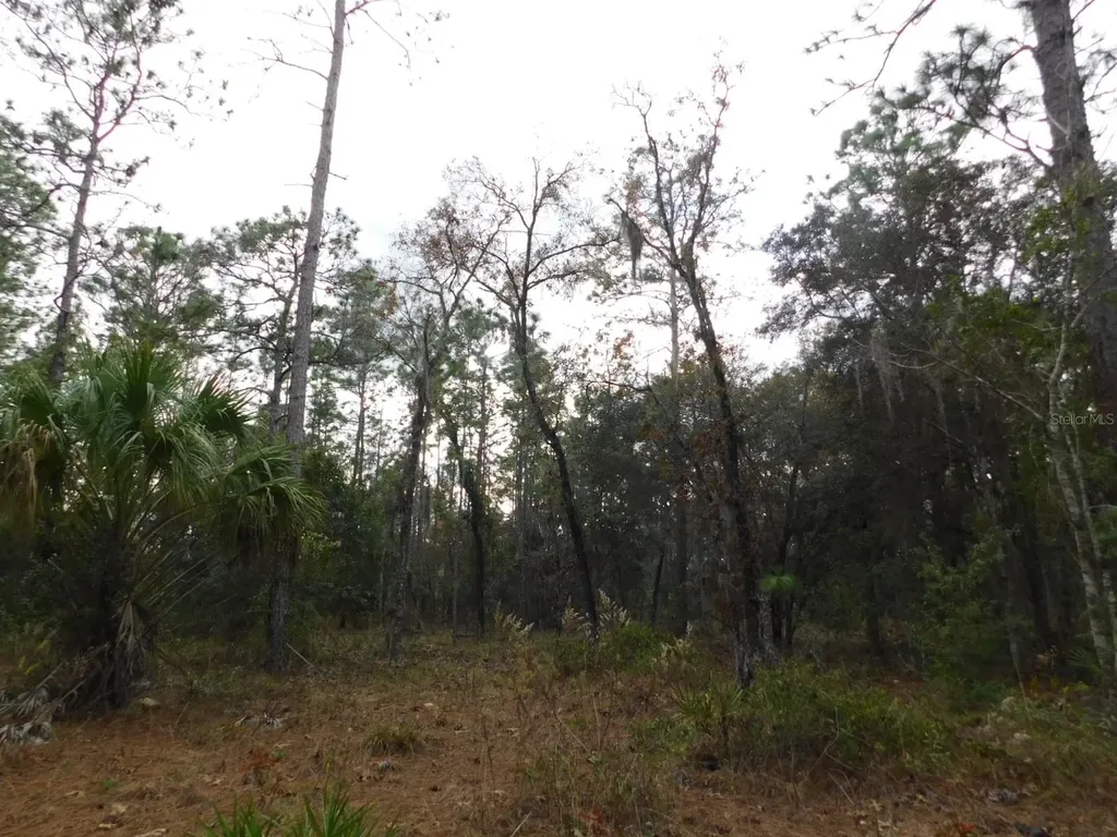 SE 120 Court Morriston FL 32668