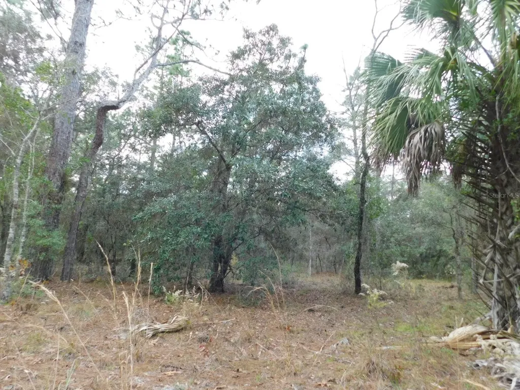 SE 120 Court Morriston FL 32668