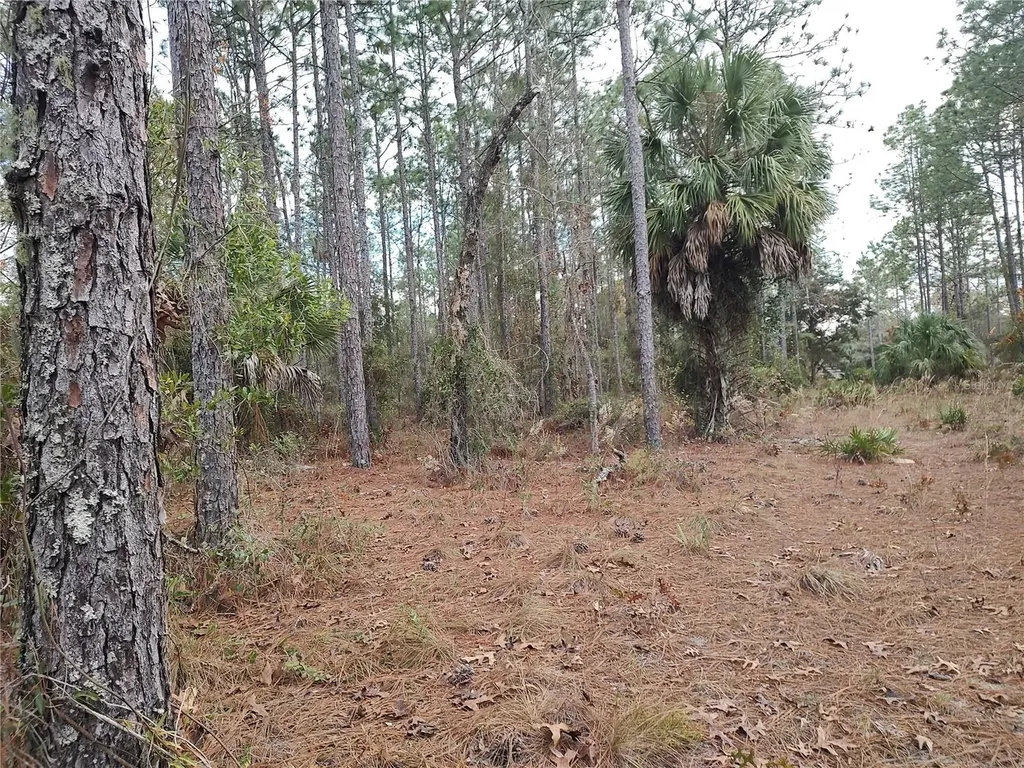 SE 120 Court Morriston FL 32668