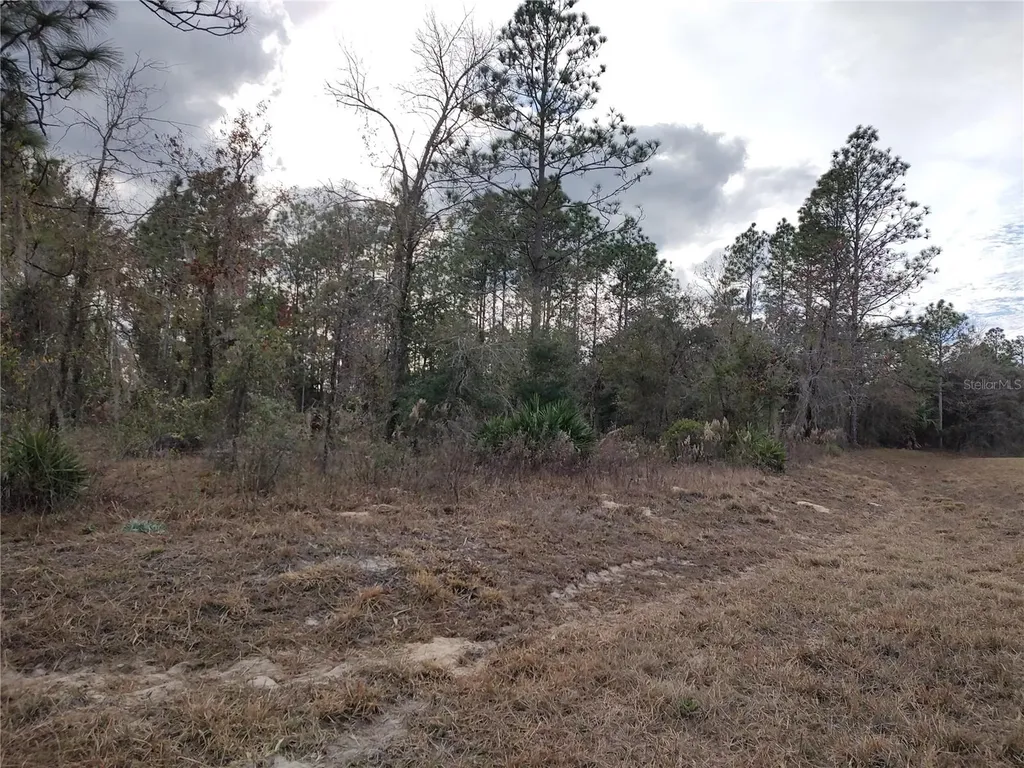 SE 120 Court Morriston FL 32668