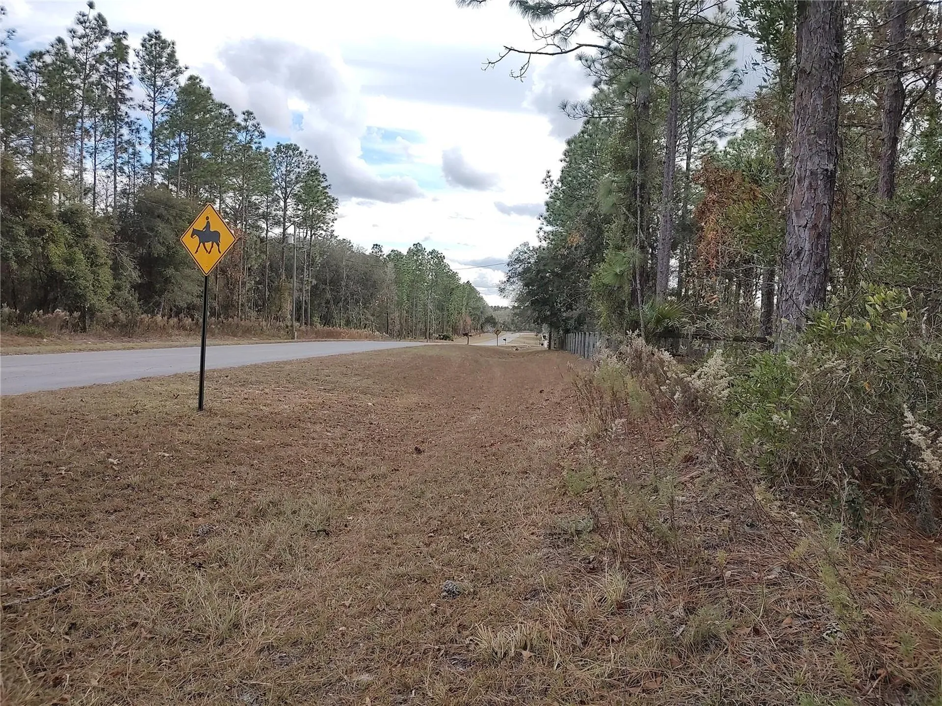 SE 120 Court Morriston FL 32668