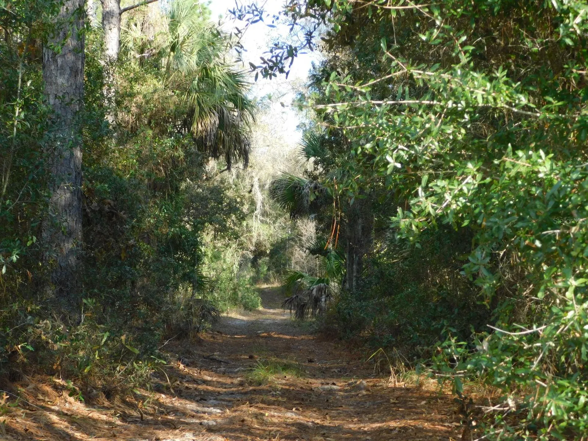 SE 120 Court Morriston FL 32668