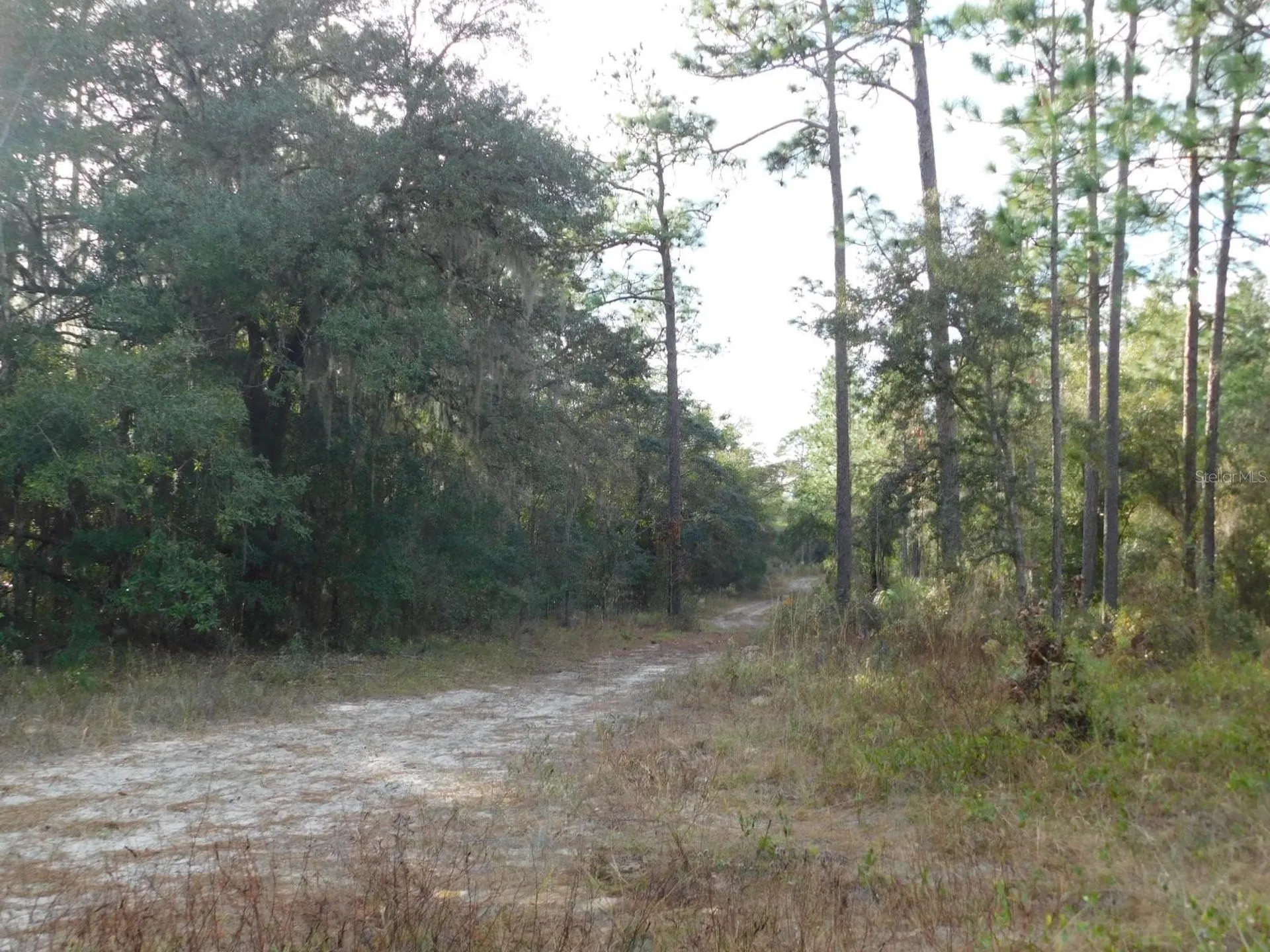 SE 120 Court Morriston FL 32668