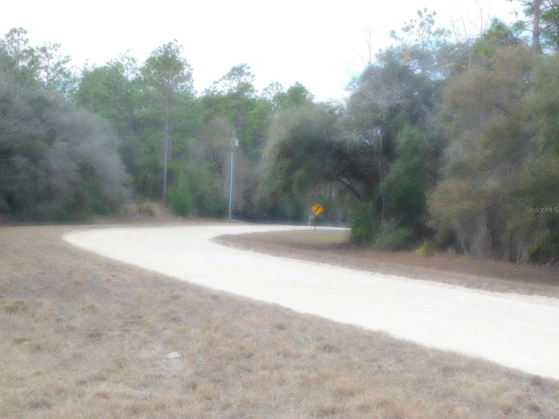 SE 120 Court Morriston FL 32668