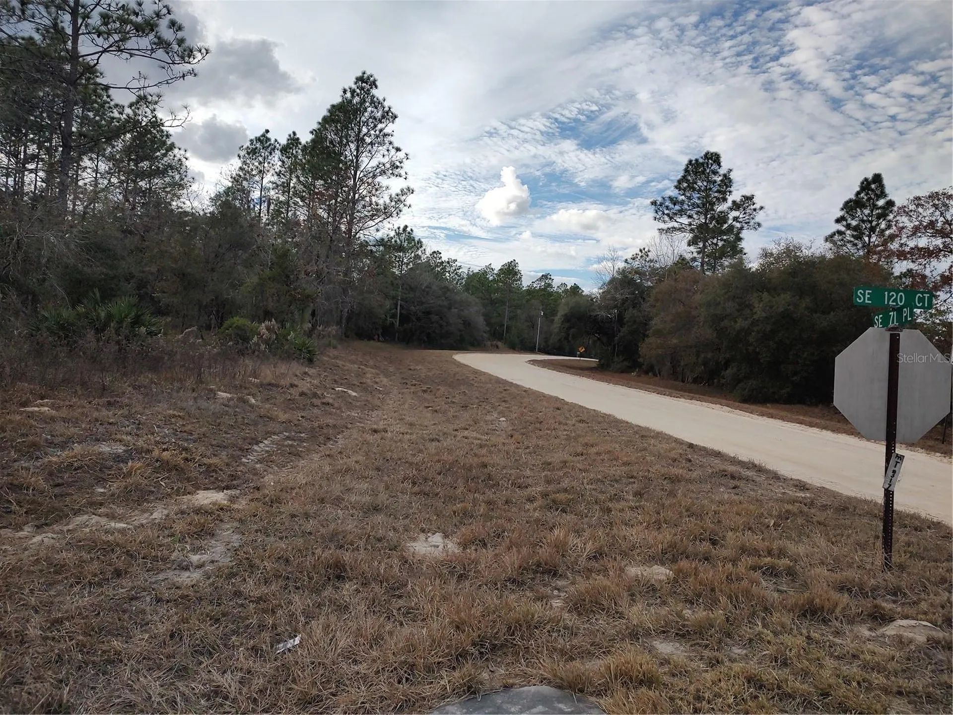 SE 120 Court Morriston FL 32668