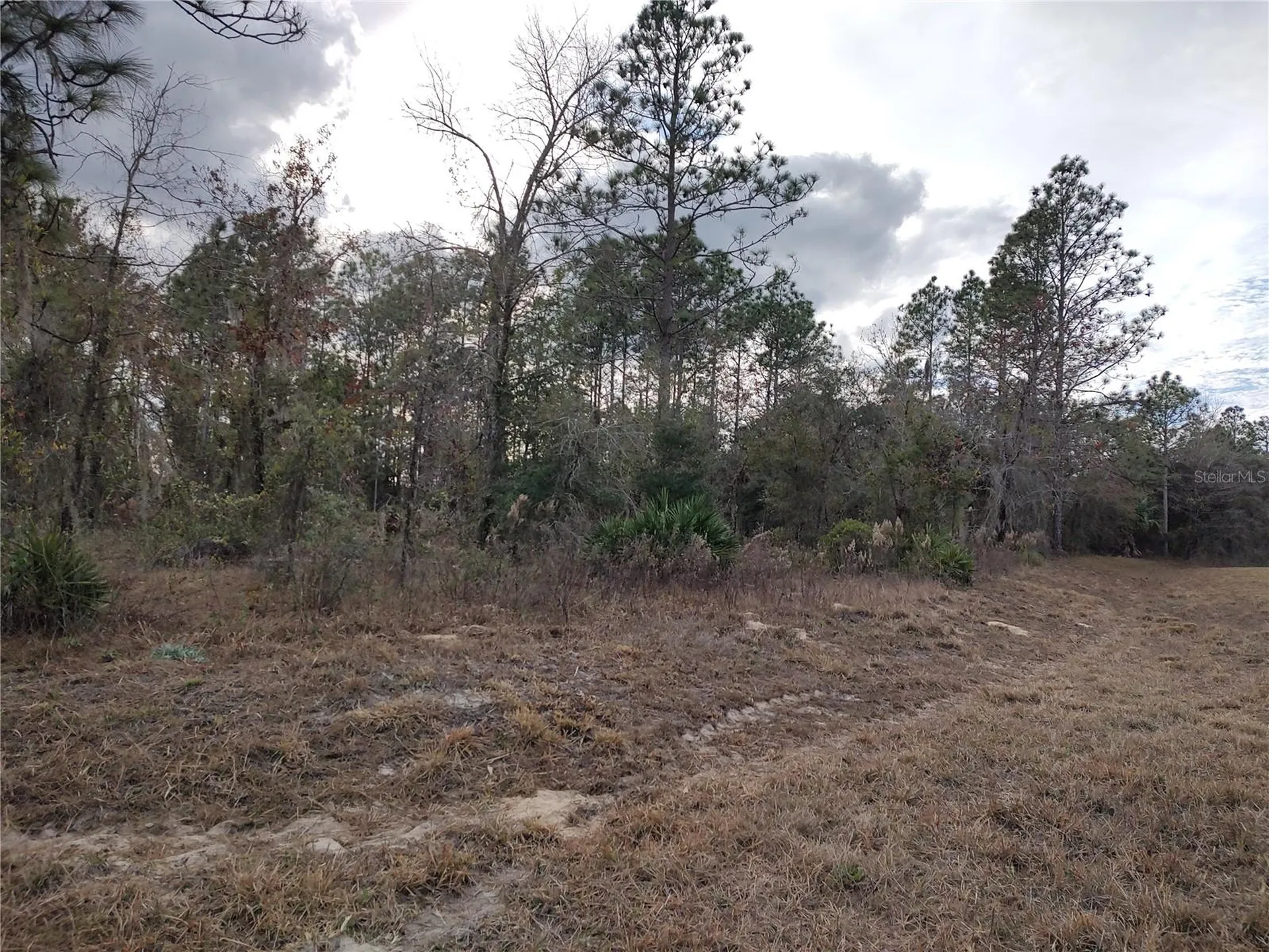 SE 120 Court Morriston FL 32668