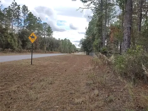 SE 120 Court Morriston FL 32668
