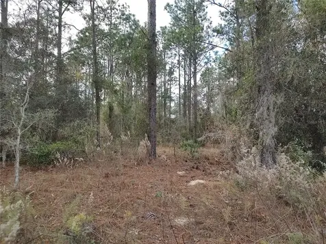 SE 120 Court Morriston FL 32668