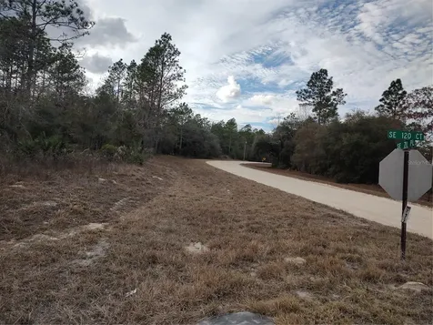 SE 120 Court Morriston FL 32668
