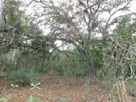 SE 120 Court Morriston FL 32668