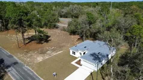 9719 N Sandree Drive Citrus Springs FL 34434