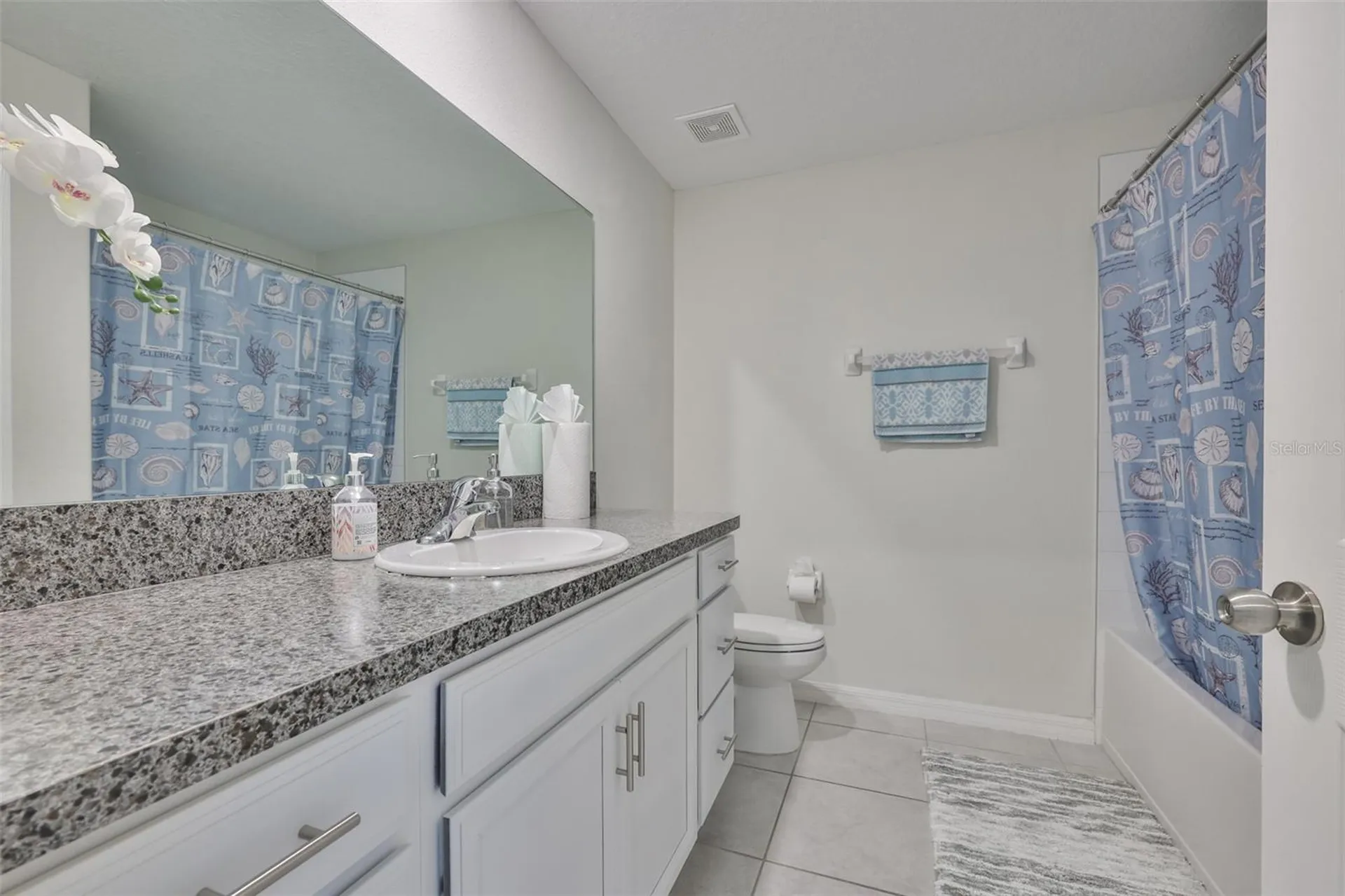 13575 Willow Bluestar Loop Riverview FL 33579