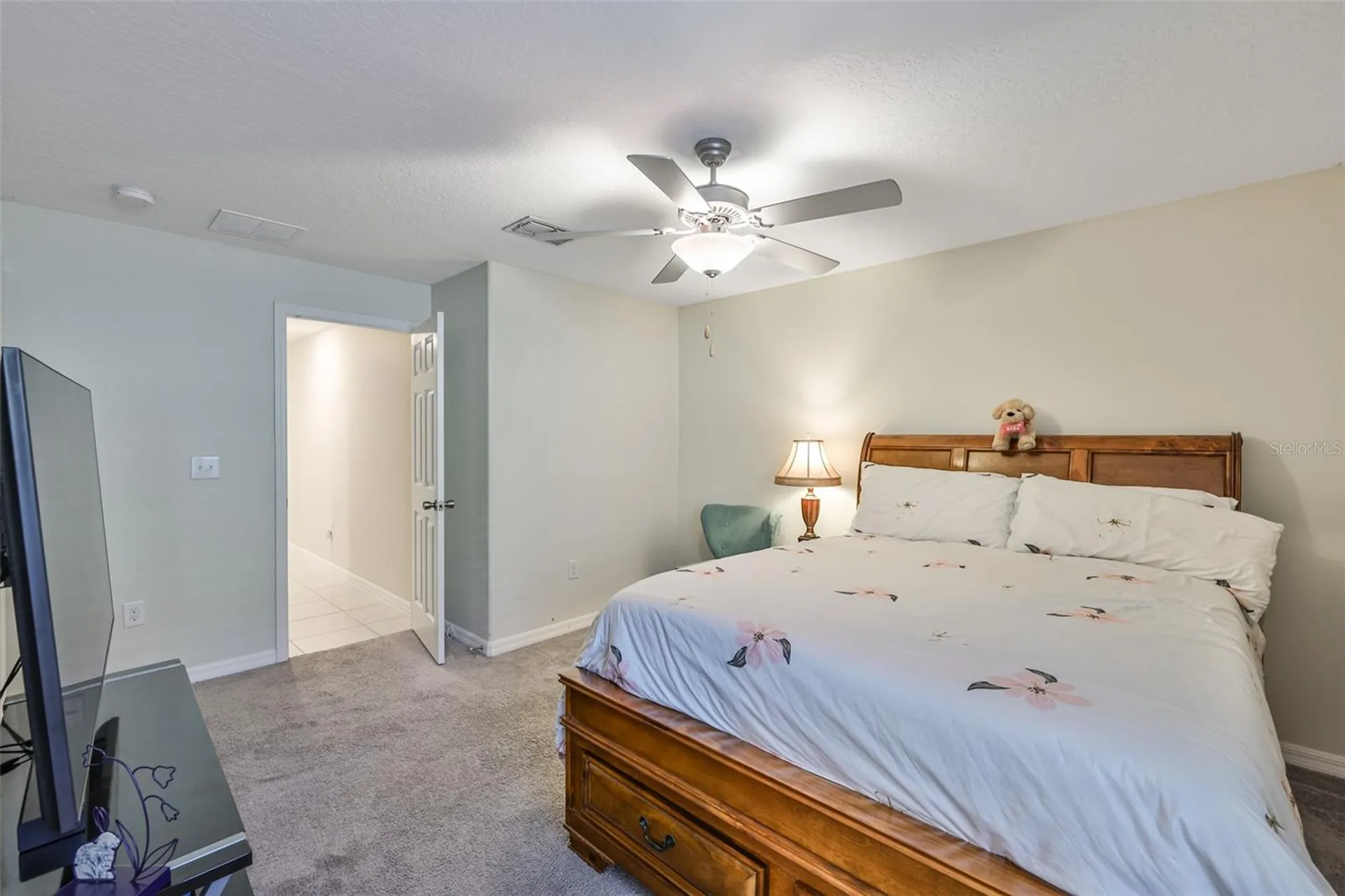 13575 Willow Bluestar Loop Riverview FL 33579