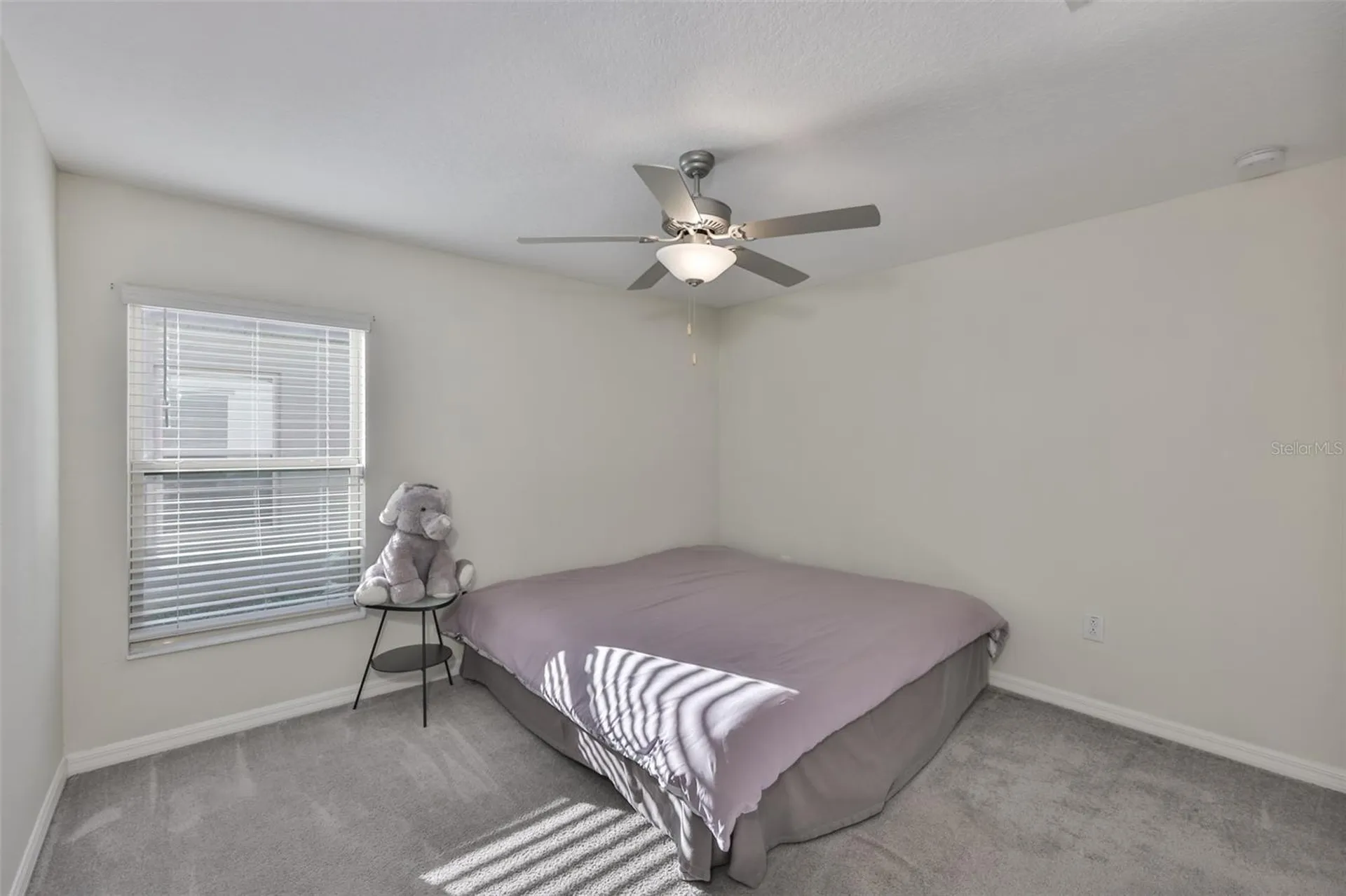 13575 Willow Bluestar Loop Riverview FL 33579