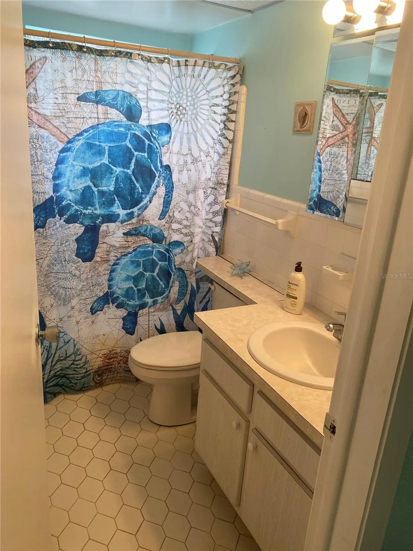 11224 82nd Avenue Seminole FL 33772