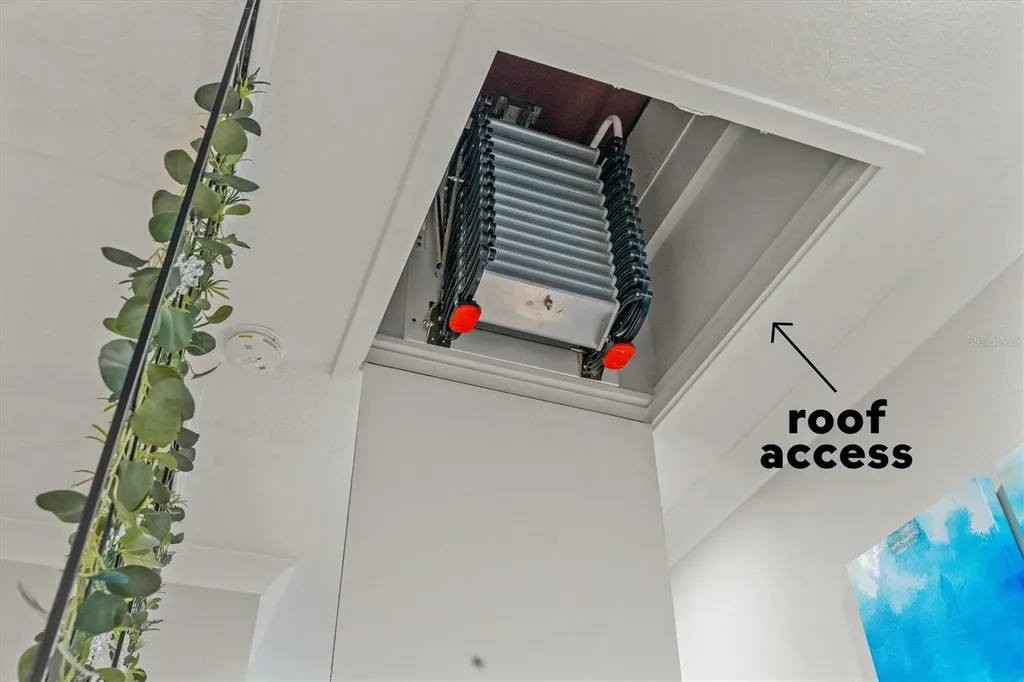 946 Highland Avenue Dunedin FL 34698