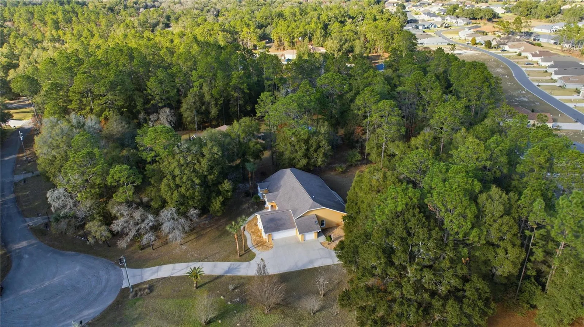 7145 SW 181st Avenue Dunnellon FL 34432