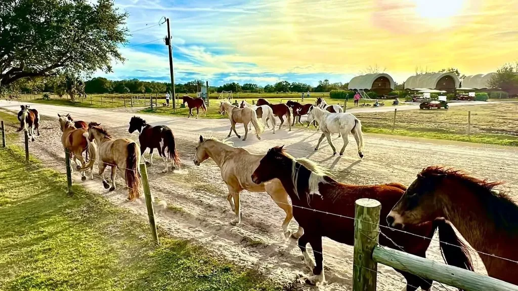 231 Stallion Lane River Ranch FL 33867