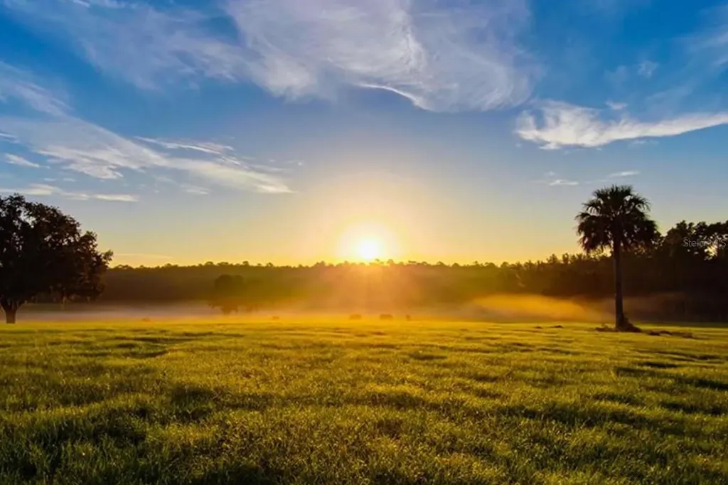 Tbd Highway 329 Reddick FL 32686