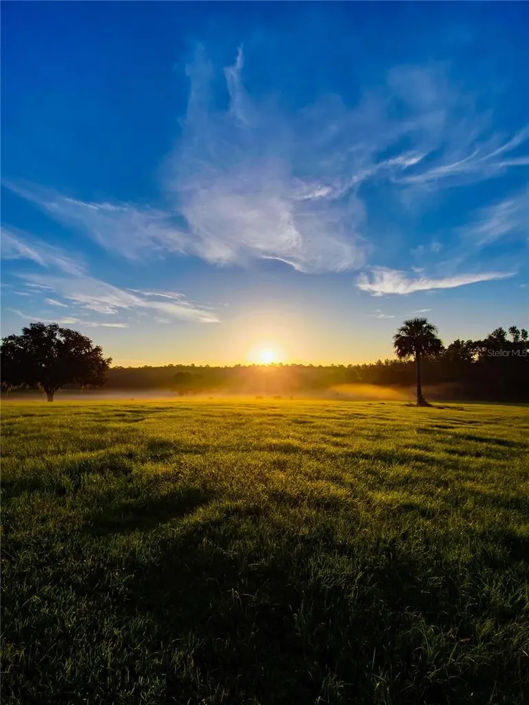 Tbd Highway 329 Reddick FL 32686