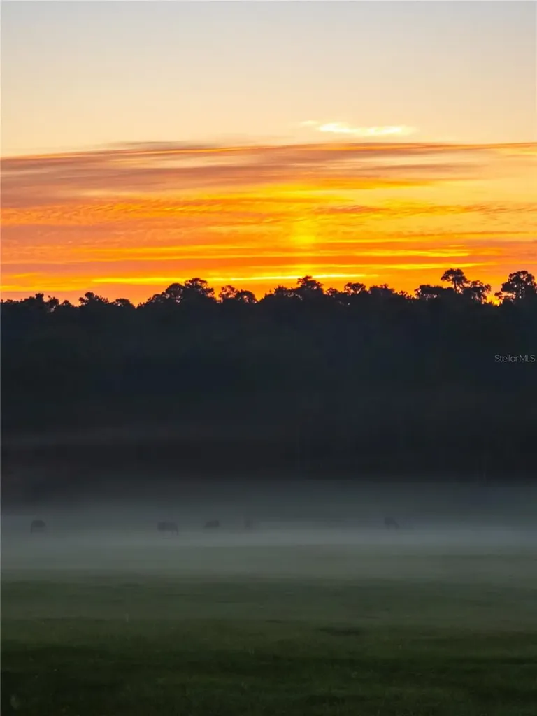 Tbd Highway 329 Reddick FL 32686